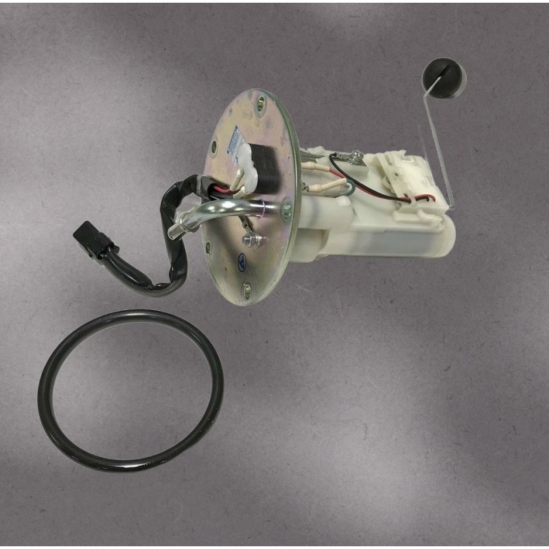 Motorcycle Fuel Pump and Fuel Sender Unit