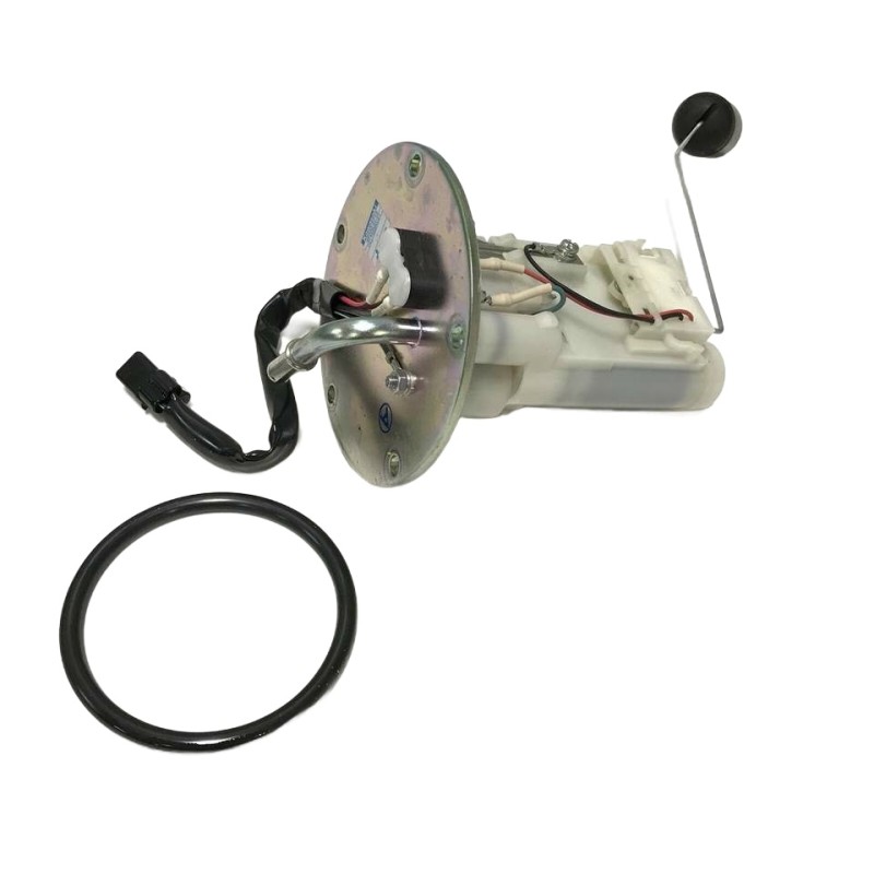 Motorcycle Fuel Pump and Fuel Sender Unit