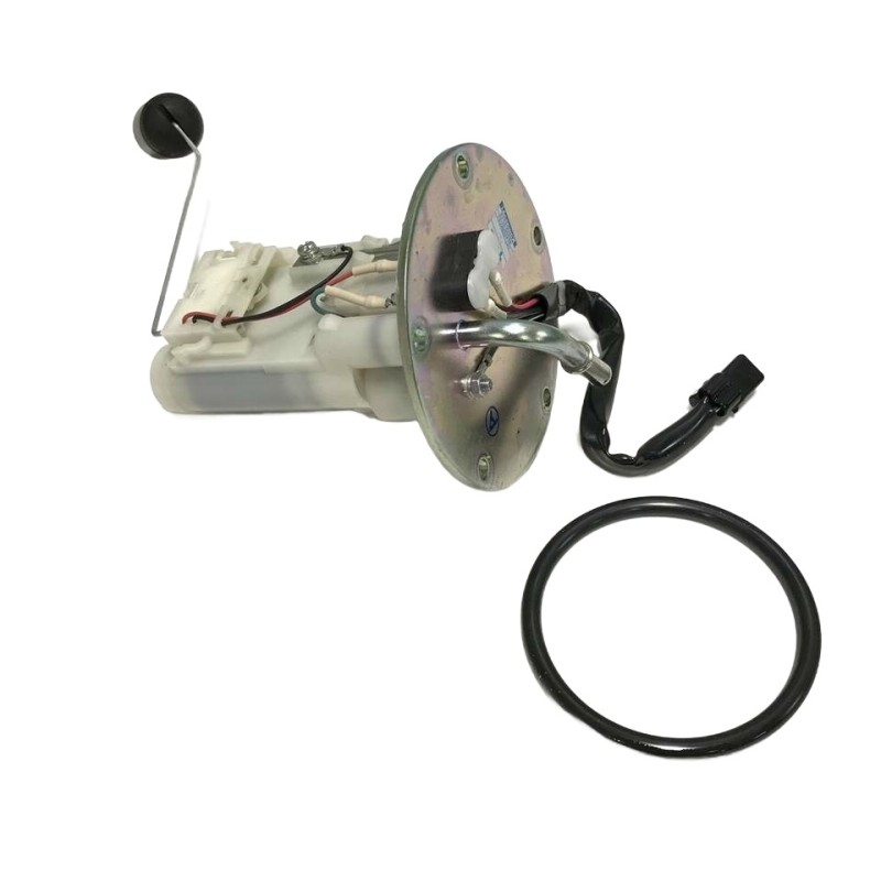 Motorcycle Fuel Pump and Fuel Sender Unit